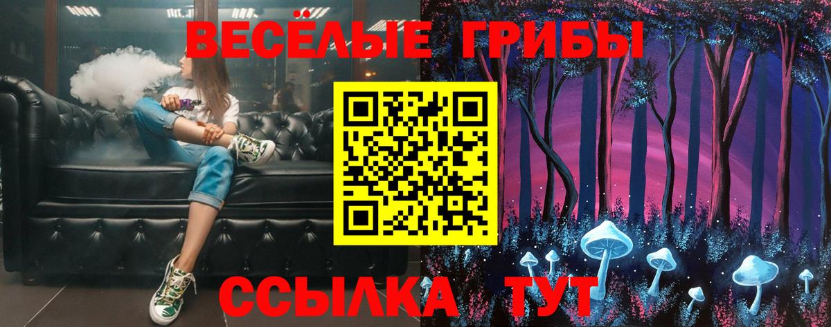 Псилоцибиновые грибы GOLDEN TEACHER  Галлюциногенные грибы прущие грибы  Севастополь  Вход с VPN 